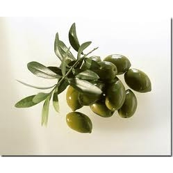 冷壓初榨橄欖油 Extra virgin olive oil 90g