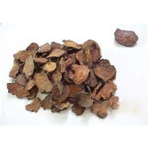 何首烏粉 Polygonum multiflorum powder 70g