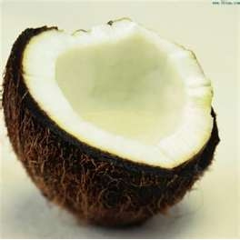 精製椰子油 Coconut Oil Refined 90g