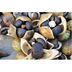 茶籽粉 Camellia Powder 50g