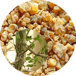 沒藥粉 Myrrh powder 40g 