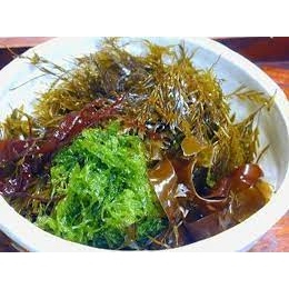海藻萃取液 Algae Extract 15g