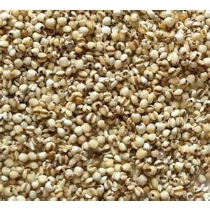生薏仁粉 Coix Seed powder 50g